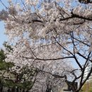 산본 문화의 거리 이미지