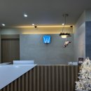 하울팟 부산케어센터 | 부산 대연동 두피관리 추천 웰킨두피탈모센터 경성대점 파워 디톡스 케어