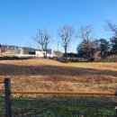 중산동 고분군 이미지