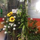 웃는돈지 국수가 이미지