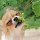 일광여관 이미지