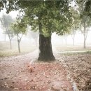 너와의 산책 이미지