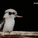 아리랑로 이미지