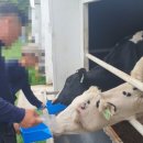 시후민박 이미지