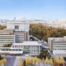 서울특별시보라매병원 이미지