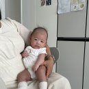 곡반사