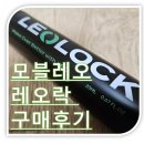 푸쉬푸쉬(PUSH PUSH) | 모블레오 레오락 다운펌 유지 필수템 내돈내산