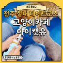 고양이카페 아이캣유 | [전주 완산구] 전주 실내 데이트코스 고양이카페 아이캣유 몽글한 하루