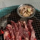찰스돼지