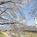 덕풍천서로 이미지