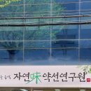 자연미 약선연구원
