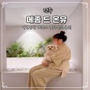 메종 드 펫 | 전주 한옥마을 근처 메종드온유 호텔 애견동반 감성숙소 호캉스 프리미어 스파룸 추천