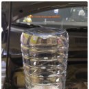 유천카서비스 이미지