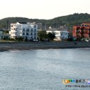 천학정 민박 이미지