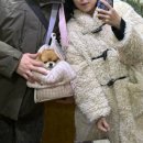 투꼬꼬치킨(덕하점) | 가자 열정의 말 !!!