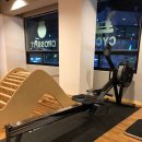 제프웰니스 이미지