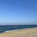 사골뚝배기 | [강릉 한식 맛집 가온] 진한 사골육수 베이스 만두전골 + 부드러운 뚝배기불고기 솔직후기!