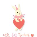 새날헤어살롱 | 압구정미용실 : 신오키새날헤어살롱 레드브라운 염색후기♪