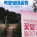흥부네토종한방순대 이미지