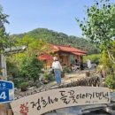 정희네 들꽃이야기 이미지