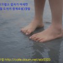 숙박정보 및 관광정보 이미지