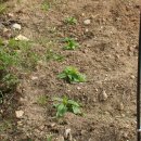 어울림농장 이미지