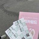 홍천 알파카월드 데이트하기 좋은곳 추천/ 할인, 입장료 안내