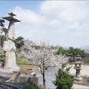 2022-주185 이미지