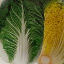 베타고랩스(주) 이미지