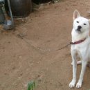 순열농장 이미지