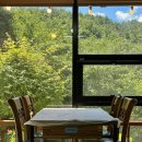 동화사(용수동) | 능이오리백숙이 맛있는 대구 동화사 맛집 <성공식당> 인생 대구 백숙 맛집!