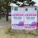 도장중학교(26026) 이미지