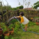 서림민박 이미지