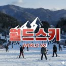 [북부] 의류제작 중급 | 강촌엘리시안 스키장 스키강습 방문 후기