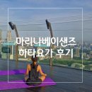 요가 | 마리나베이샌즈 아침 요가 예약하기, 하타요가 후기
