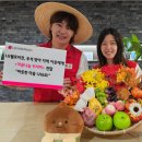 LG헬로비전 강원방송(케이블티비) 지디넷코리아