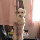 큐티
