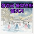 수채화(야간) | 2026 창경궁 물빛연화 야간개장 시간과 방문 후기 꿀팁