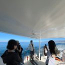 푸른 태양광 발전소 이미지