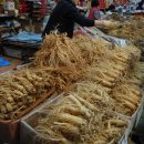 인삼문화센터 이미지