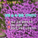 숲민박 이미지