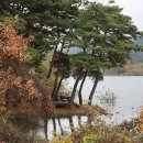 명대마을회관 이미지