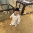 연우목장 이미지