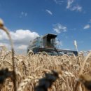 시나래컴퍼니 이미지