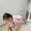 멍멍아 놀자 | 월팸 한 달 후기 비싼 월팸 하루 만 원어치 쓰는 루틴