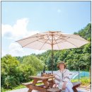 멍편한세상 이미지