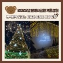 우리빨래터 | 2025 앞산 빨래터공원 겨울정원 크리스마스 대형 트리! 밤산책 다녀온 후기