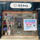 뽀dog 이미지