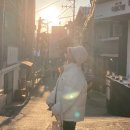 내돈내산 : 활용도 좋은 키르시 KIRSH 숏패딩 데일리룩 코디