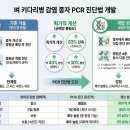 키다리